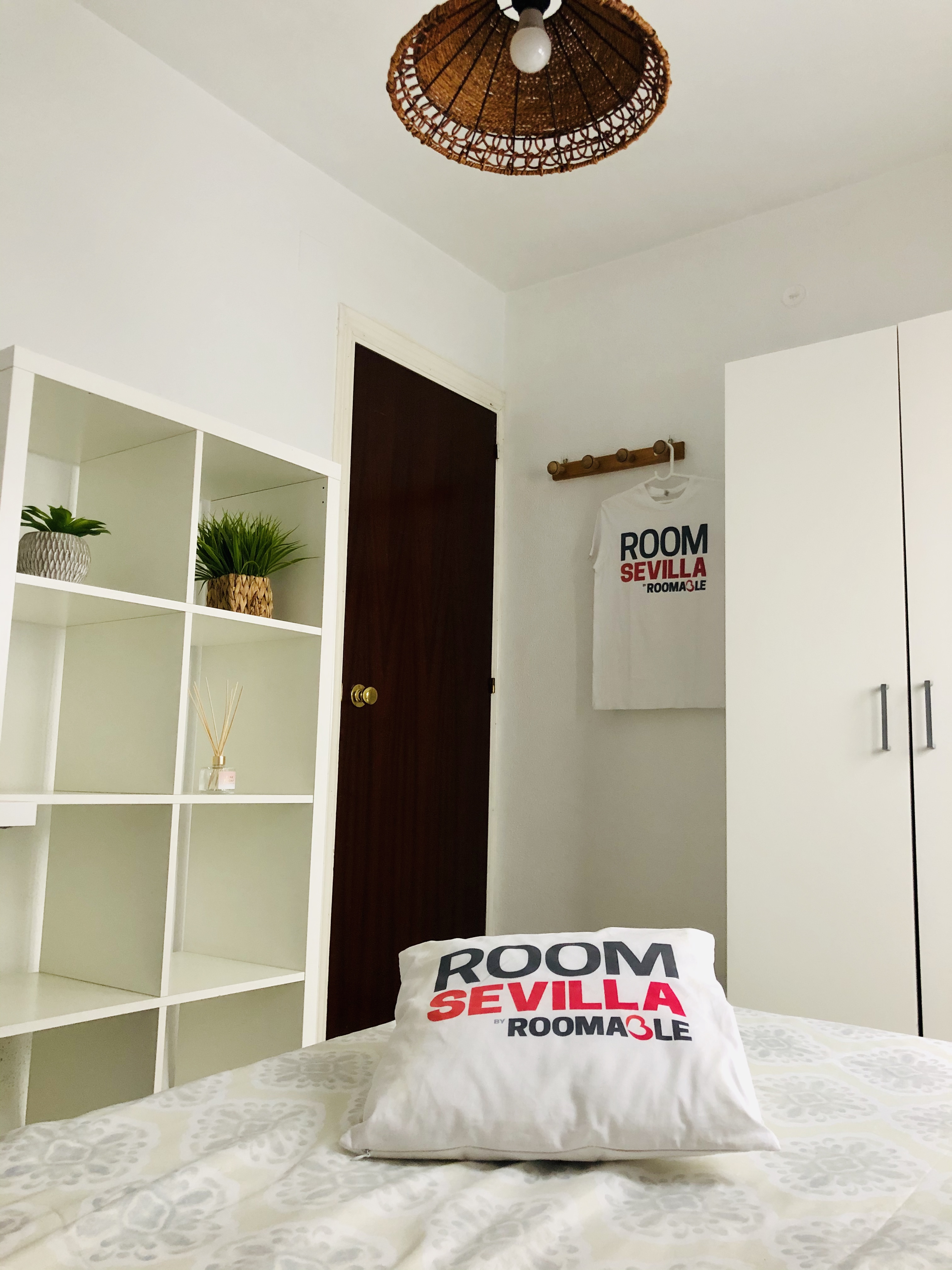 Large student room in Triana